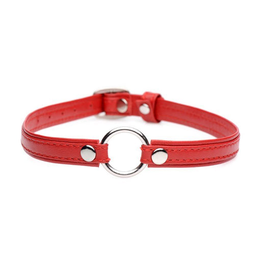 Fiery Pet Leather Choker w Silver Ring Red product image
