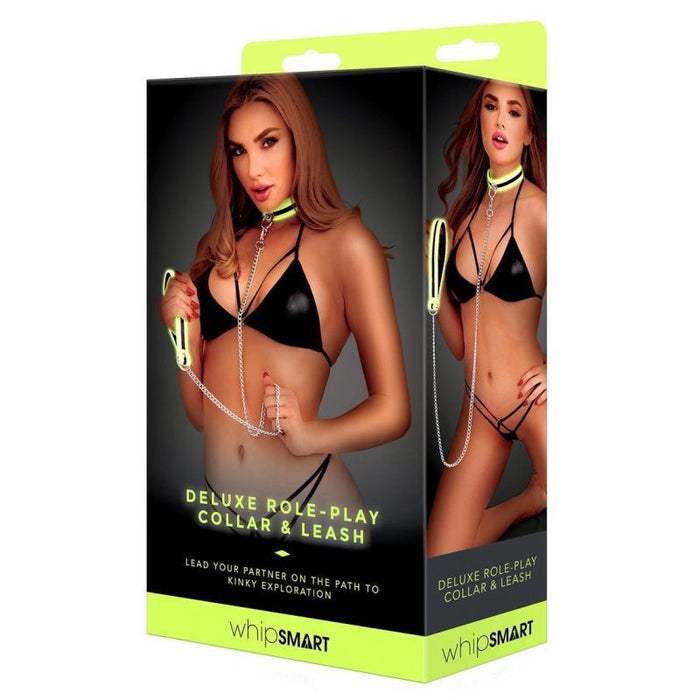 Whip Smart Glow in the Dark Collar & Leash